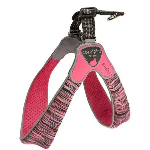 Coralpina Powermix Cinquetorri Harness Size 2 (3-4kg)