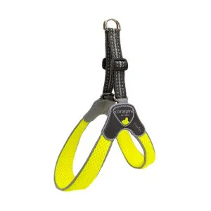 Coralpina Cinquetorri Harness Size 5 (6-8kg)