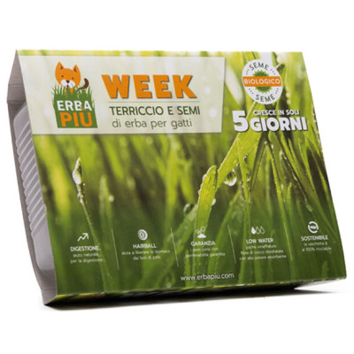 Erba Piu Γρασίδι για Γάτες Σπόροι 40g Erba Piu Γρασίδι για Γάτες Σπόροι 40g