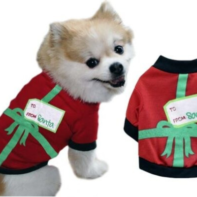 Φανελάκι From Santa