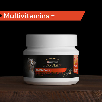 Pro Plan® Multivitamins + Συμπλήρωμα Διατροφής για Σκύλους σε Δισκία