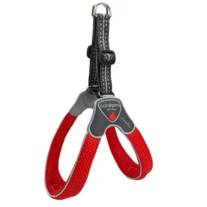 Coralpina Cinquetorri Harness Size 4 (5-6kg)